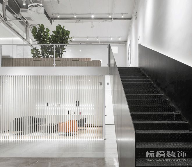 辦公室植物擺放植物有哪些，怎么擺放比較好？